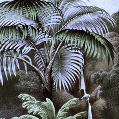 Sit & Get Lit (021322)