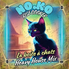No.Ko - La Boite À Chats (Heavy House Mix)