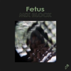 2024/06/25 MIX BLOCK - Fetus