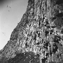 Vedøya, Bunesbukta, May 2015