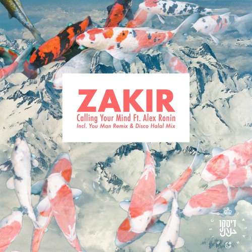 Zakir feat. Alex Ronin - Calling Your Mind [Disco Halal]