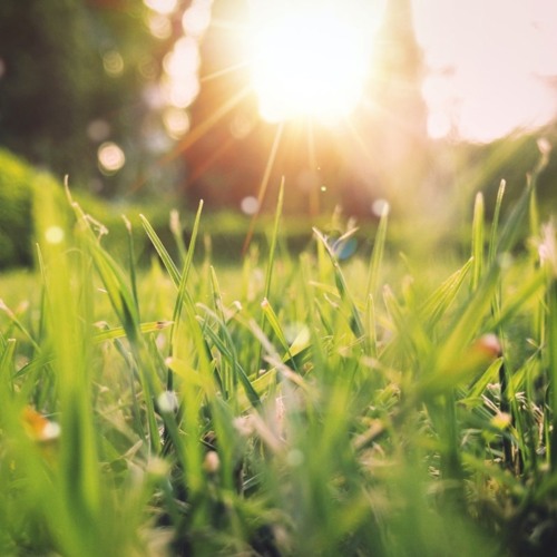 Derrick - Spring