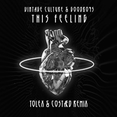 Vintage Culture, Goodboys - This Feeling (Tolex & COSTÆD Remix)