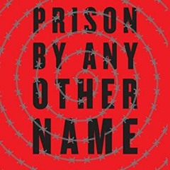 [READ] KINDLE 📤 Prison by Any Other Name: The Harmful Consequences of Popular Reform