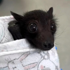 нюхаем клей(ебу детдомовскую)