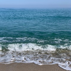 다린 등 Guitar Cover