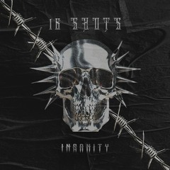 INSANITY - 16 SHOTS (Original Mix)