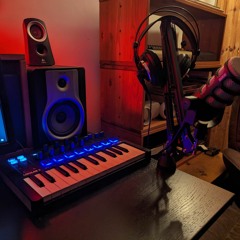 House Of The Rising Sun (cover)