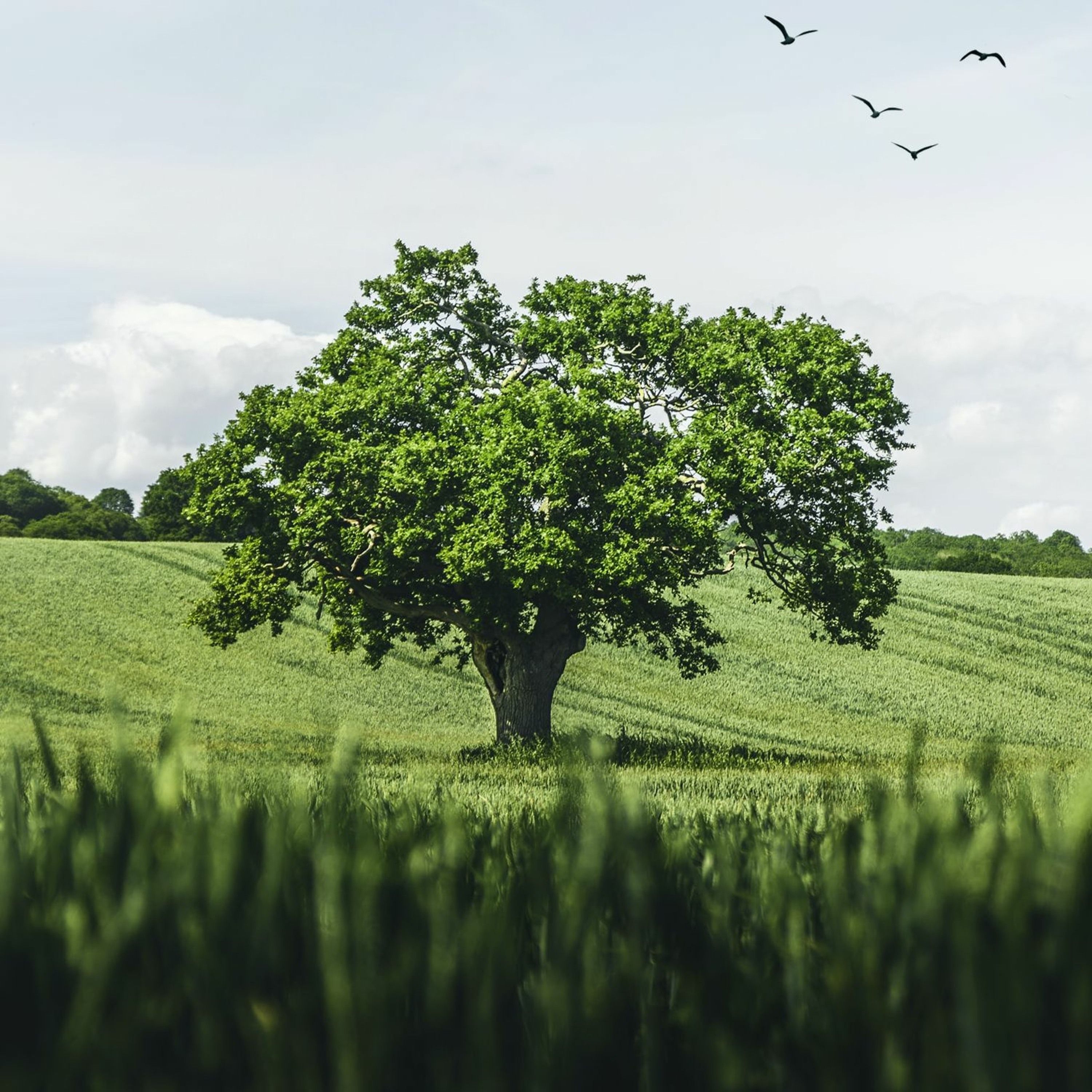 Mercredis Ecologie - Youmatter