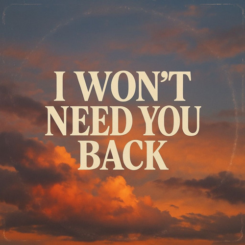 I Wont Need You Back