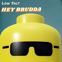 Low Salt - Hey Brudda