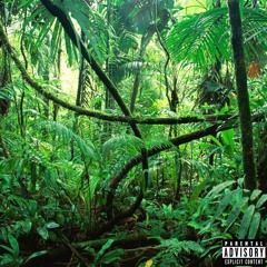 Jungle (Prod. sahara) feat. Truly Srry