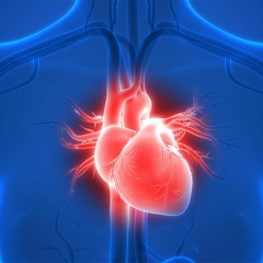 Spooky2 Heart, Lungs
