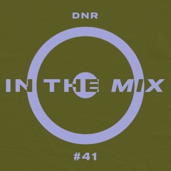 In The Mix #41 - DNR