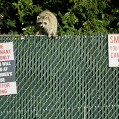 hypnotic (prod. Sogimura)