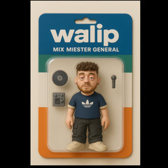 Mix Miester General [WA017]