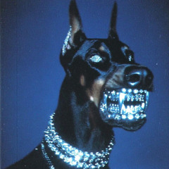 BITCH! (A SURVIVAL MODE)