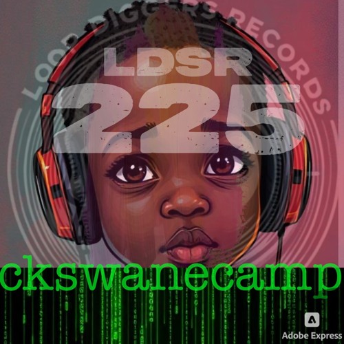 LDSR 225 - ckswanecamp