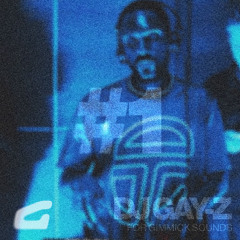 #1 - DJ GAY-Z