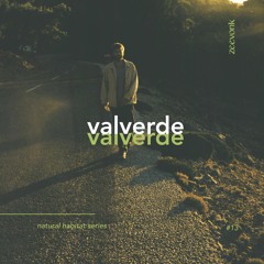 shrubland dusk ∿ valverde