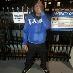 PUFFIN ON ZOOTIEZ