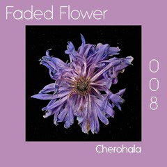 Faded Flower | 008