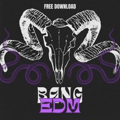 BANGS EDM SOUND VOL.3 *FREE DOWNLOAD*