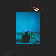 ʕ ˵ ̿–ᴥ ̿– ˵ ʔ mini songs