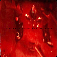 TOLLER ROOM - THE HYPEOCRISY