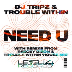 DJ TRIPZ & Trouble Within - Need U  (Trouble Within House Mix)