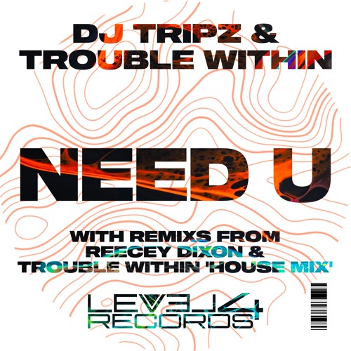 DJ TRIPZ & Trouble Within - Need U  (Trouble Within House Mix)