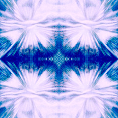 Psalm (Wildsilences feat telefan)