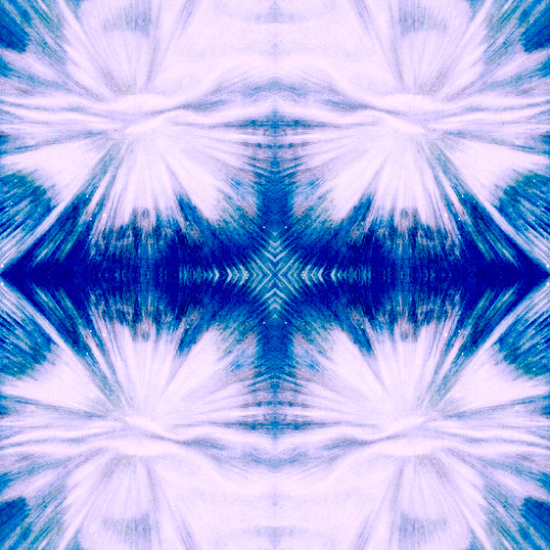 Psalm (Wildsilences feat telefan)