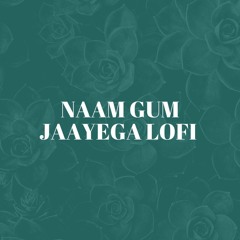 NAAM GUM JAAYEGA LOFI