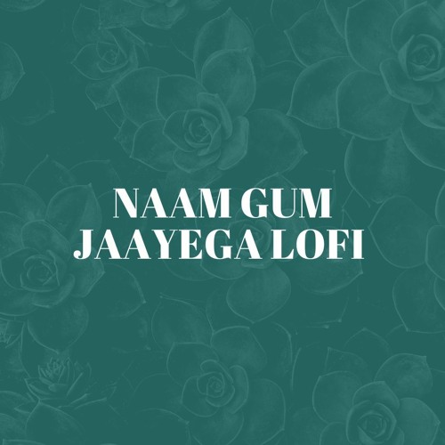 NAAM GUM JAAYEGA LOFI