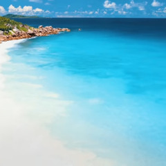 Ready‼️🥷 by: WAZY