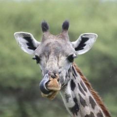 Girafot -Ein Be'etzem Zman (Edit)