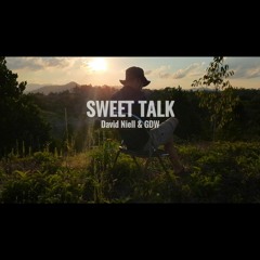 David Niell & GDW - Sweet Talk