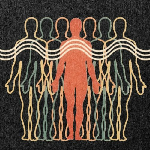 Everyone Is Connected