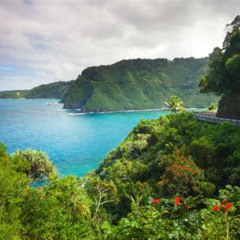 Best Things To Do In Maui Hawaii December Tours Reviews