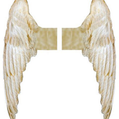 tape 4 angels #bl00dtrib3