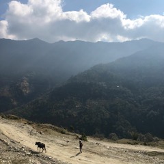 Bhakti Flow Hom: Week 4