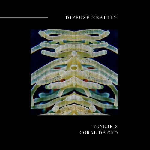 Tenebris - Decline