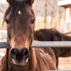 Dr. Seuss - Psytrance Set - January 2024