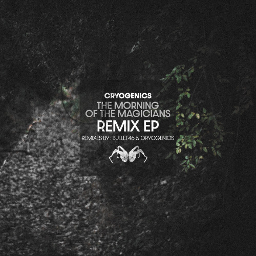Cryogenics - Eternal Hunt (Bullet 46 Remix)