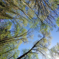 My Youth (나의 젋은 날의 기억들)