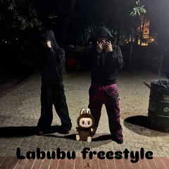 Labubu freestyle