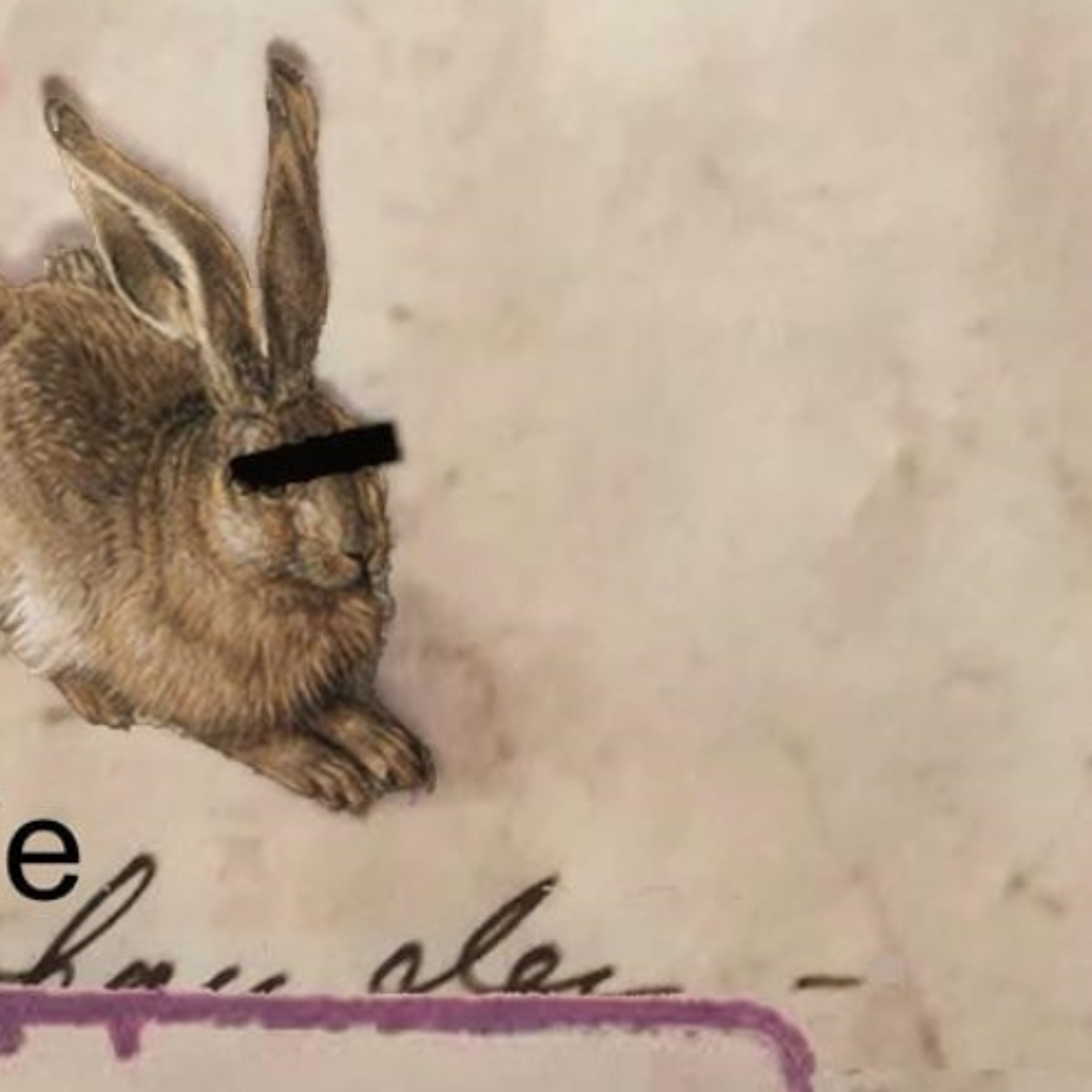 Das Tagebuch - Die Probanden-Tagebücher (3) - von Miriam Sachs