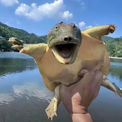 Em nào có tội-Tuấn Smile remix