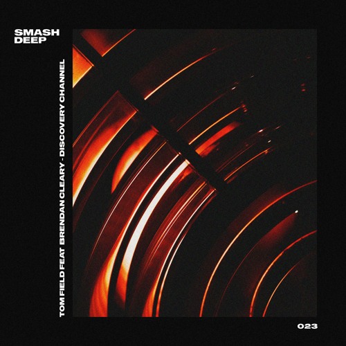 Tom Field feat Brendan Cleary - Disovery Channel